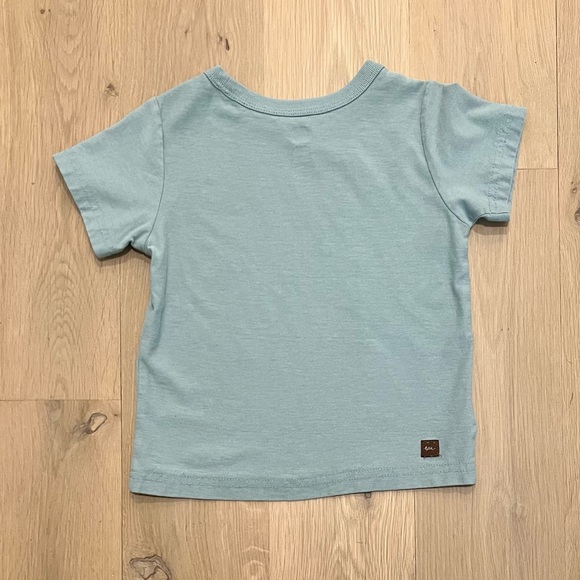 Tea Collection Baby Toddler Boys Mount Fuji Graphic Short Sleeve Tee Shirt - Picture 7 of 12